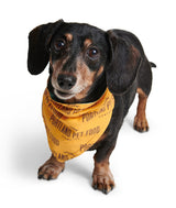 PPFC Bandana